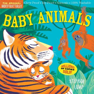 Book cover for Indestructibles: Baby Animals