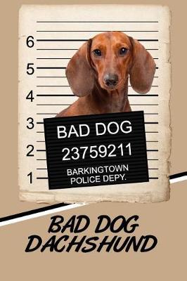 Book cover for Bad Dog Dachshund