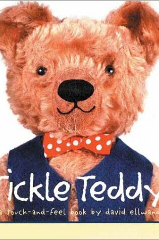 Cover of Tickle Teddy