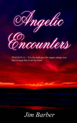 Book cover for Angelic Encounters