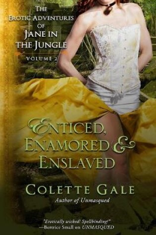 Cover of Enticed, Enamored & Enslaved