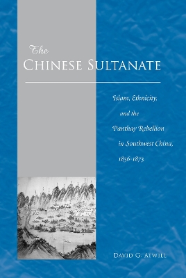 Book cover for The Chinese Sultanate