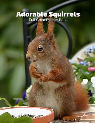 Book cover for Adorable Squirrels Full-Color Picture Book