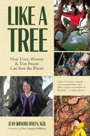 Cover of Like a Tree