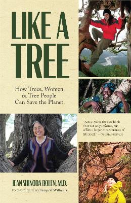 Book cover for Like a Tree