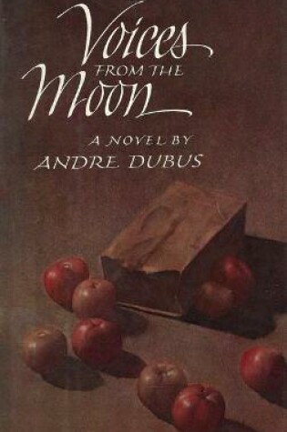 Cover of Voices from the Moon