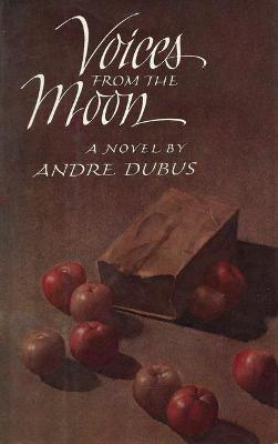 Book cover for Voices from the Moon