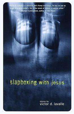 Book cover for Slapboxing with Jesus