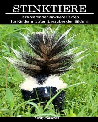 Book cover for Stinktiere