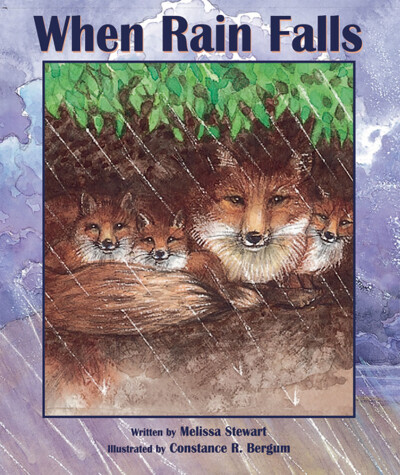 Book cover for When Rain Falls