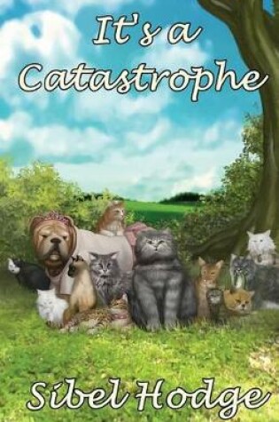 Cover of It's a Catastrophe