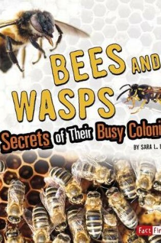 Cover of Amazing Animal Colonies Bees and Wasps Secrets of Their Busy Colonies