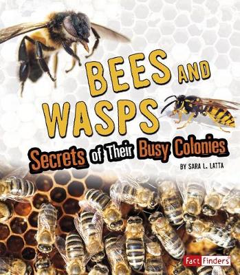 Book cover for Amazing Animal Colonies Bees and Wasps Secrets of Their Busy Colonies