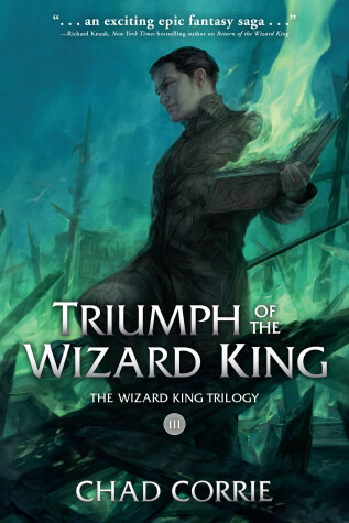 Book cover for Triumph of the Wizard King