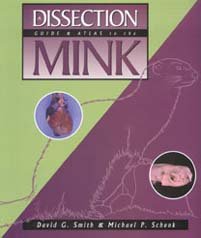 Book cover for A Dissection Guide and Atlas to the Mink