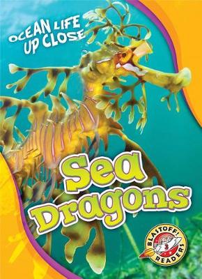 Book cover for Sea Dragons