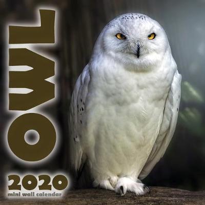 Book cover for The Owl 2020 Mini Wall Calendar