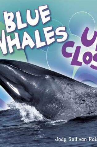 Cover of Blue Whales Up Close