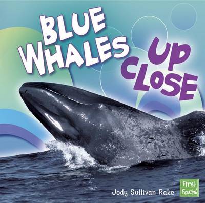 Book cover for Blue Whales Up Close