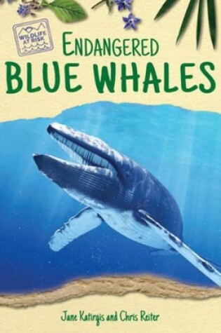 Cover of Endangered Blue Whales