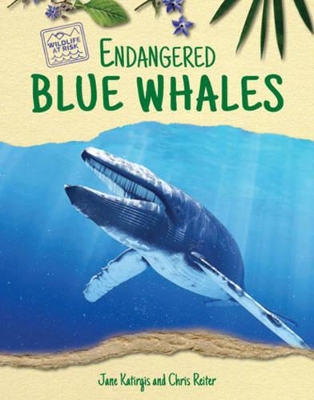 Book cover for Endangered Blue Whales