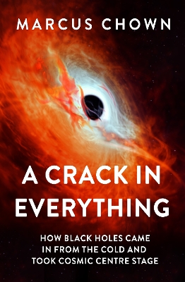 Book cover for A Crack in Everything