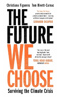 Book cover for The Future We Choose