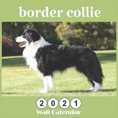 Book cover for border collie