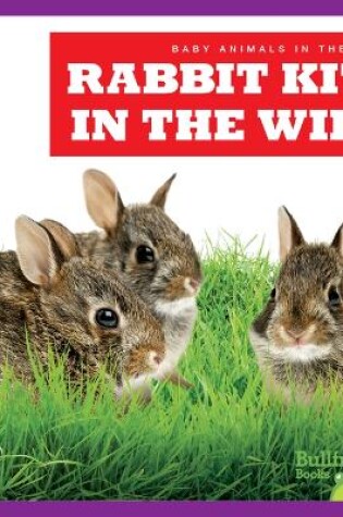 Cover of Rabbit Kits in the Wild