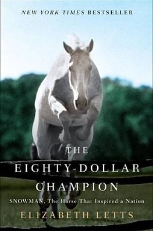 Cover of The Eighty-dollar Champion