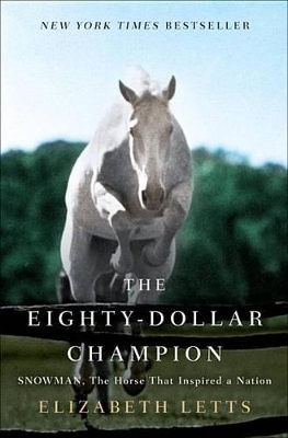 Book cover for The Eighty-dollar Champion