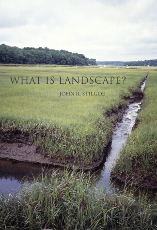 Book cover for What Is Landscape?