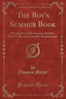 Book cover for The Boy's Summer Book