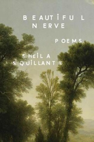 Cover of Beautiful Nerve