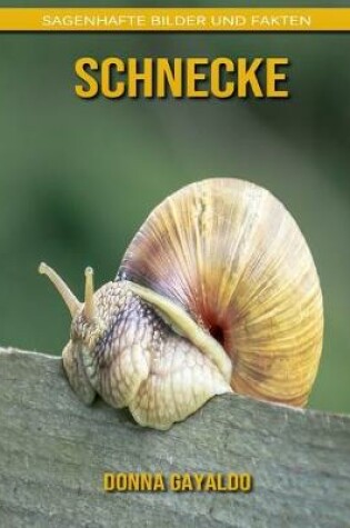 Cover of Schnecke