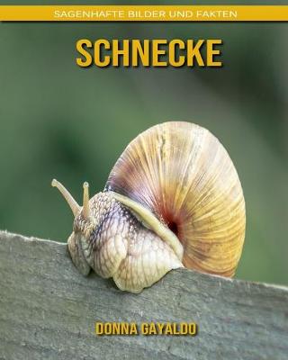 Book cover for Schnecke