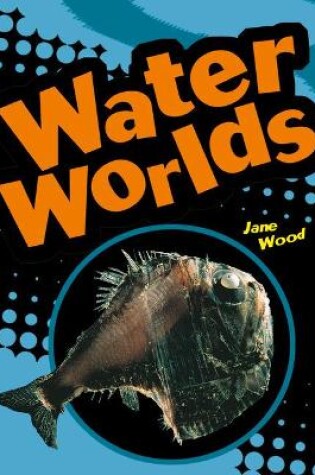 Cover of POCKET FACTS YEAR 4 WATER WORLDS