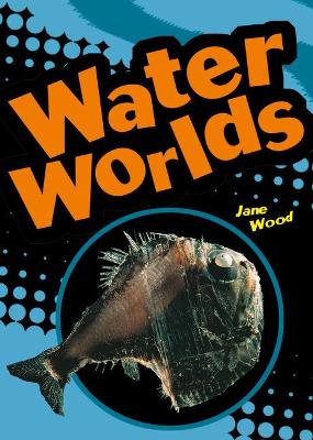 Cover of POCKET FACTS YEAR 4 WATER WORLDS