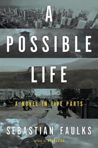 Cover of A Possible Life