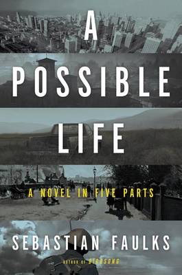 Book cover for A Possible Life