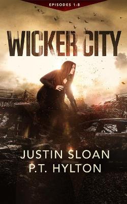 Book cover for Wicker City