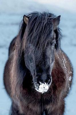 Book cover for Black Icelandic Horse Journal