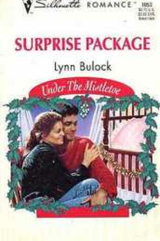 Cover of Surprise Package