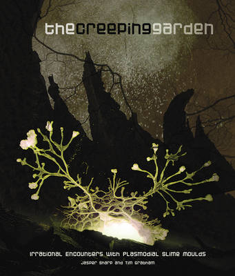 Book cover for The Creeping Garden