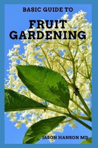 Cover of Basic Guide on Fruit Gardening