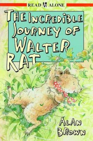 Cover of Incredible Journey Of Walter Rat