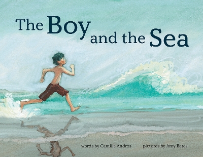 Book cover for The Boy and the Sea