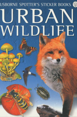 Cover of Urban Wild Life