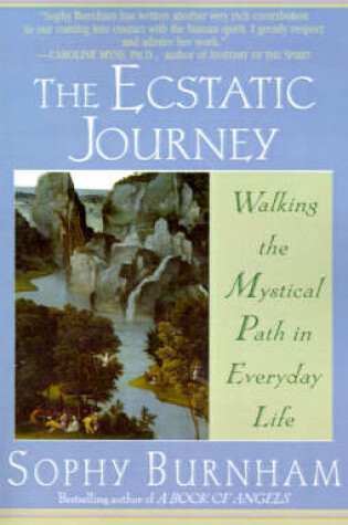 Cover of The Ecstatic Journey