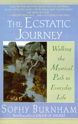 Cover of The Ecstatic Journey